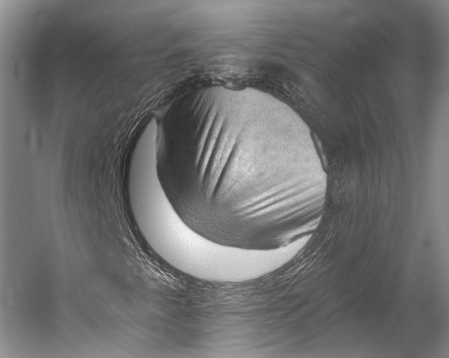 X0000058821345200510171526