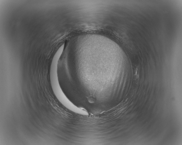 X0000058821348200510171526