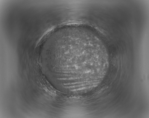 X0000058821351200510171526