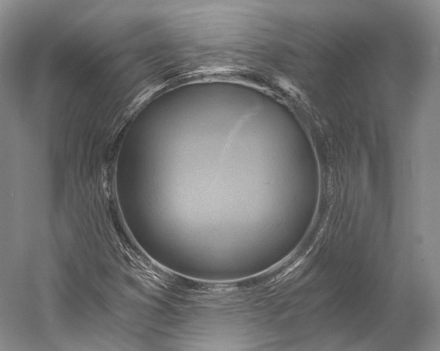 X0000058821353200510171526