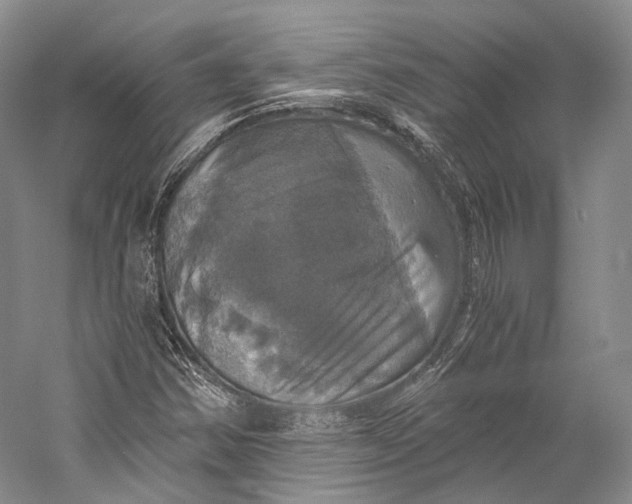 X0000058821354200510171526