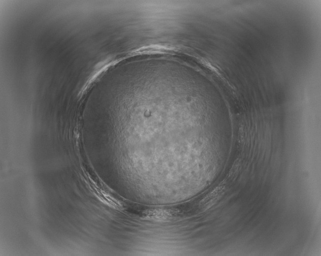 X0000058821355200510171526