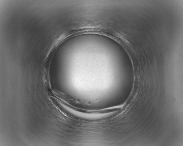 X0000058821357200510171526