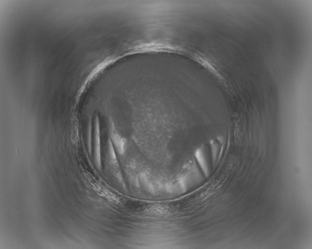 X0000058821358200510171526