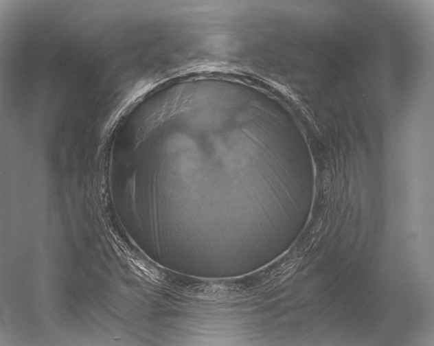 X0000058821359200510171526