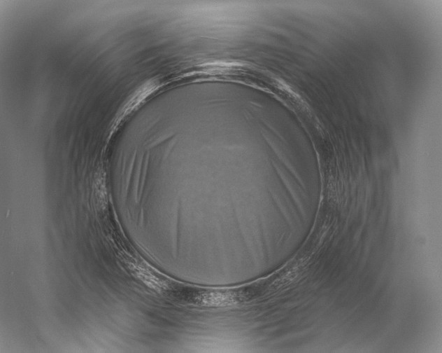 X0000058821362200510171526