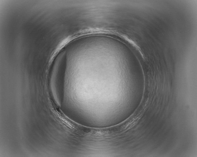 X0000058821365200510171526