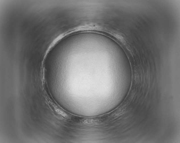 X0000058821366200510171526