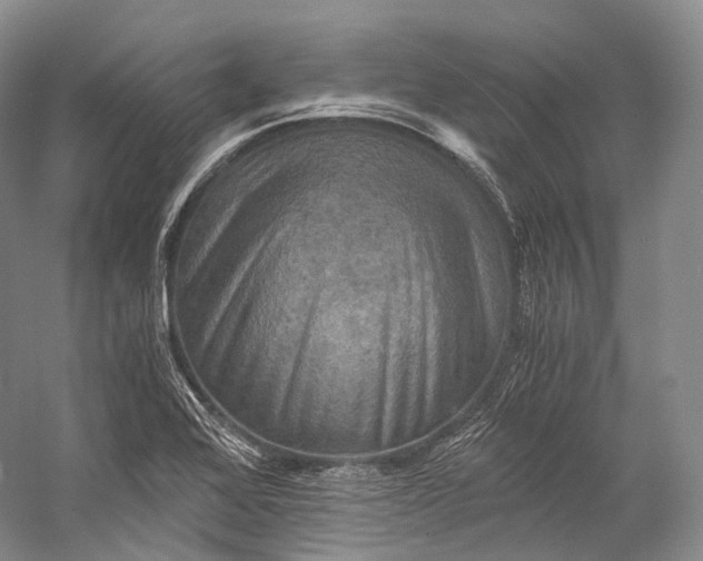 X0000058821368200510171526