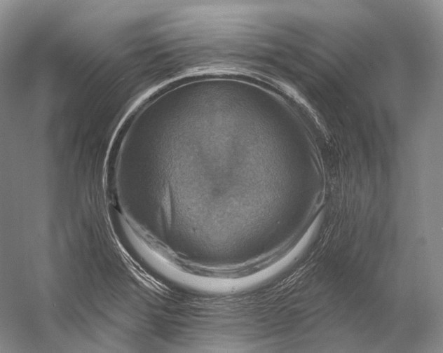 X0000058821372200510171526