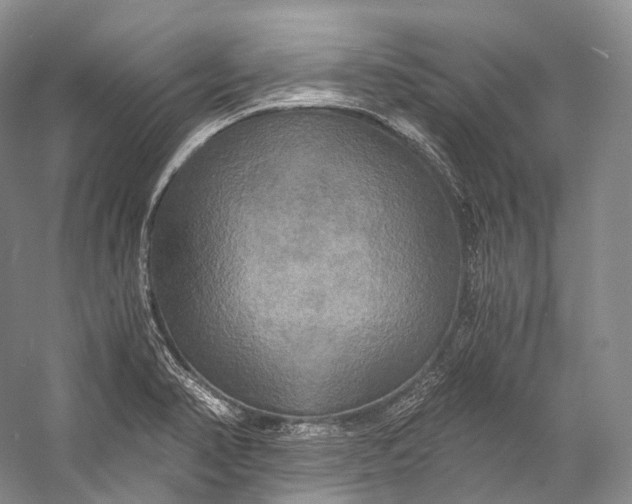 X0000058821374200510171526