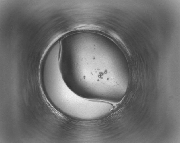 X0000058821376200510171526