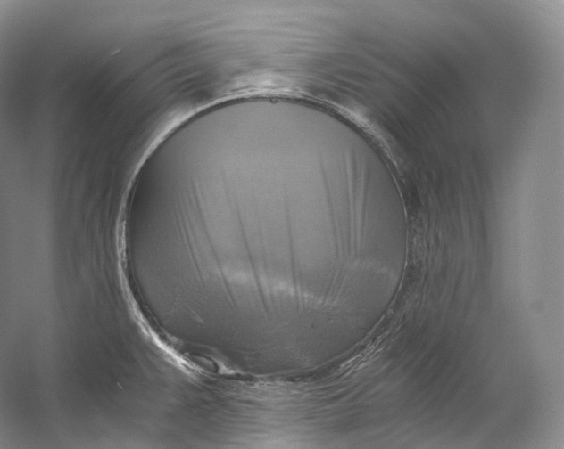X0000058821383200510171526