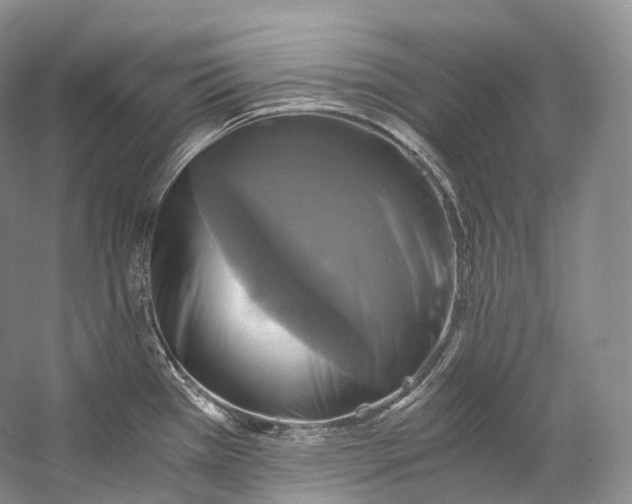X0000058821385200510171526