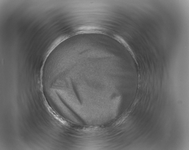 X0000058821386200510171526