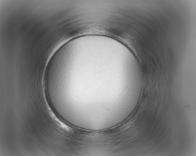 X0000058821387200510171526