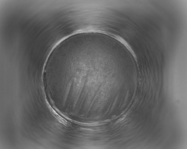 X0000058821388200510171525