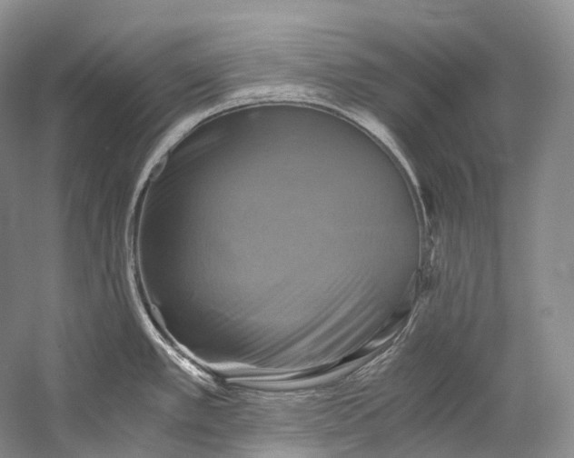 X0000058821389200510171525