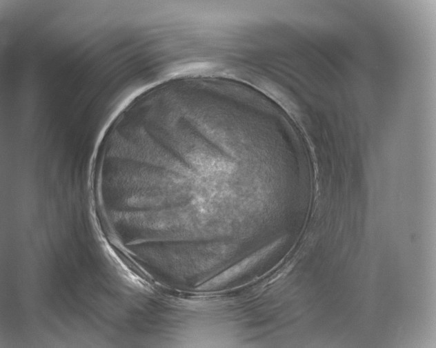 X0000058821392200510171525