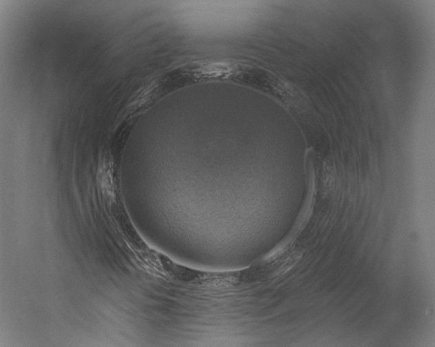 X0000058821394200510171525