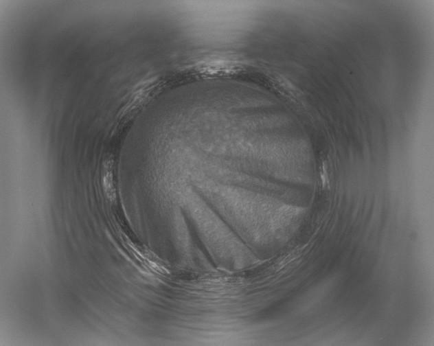 X0000058821396200510171525