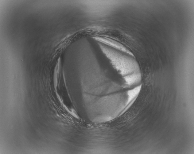 X0000058821397200510171525