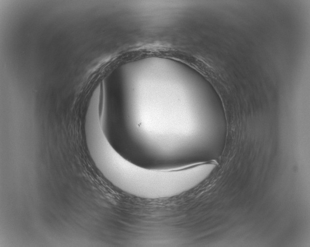 X0000058821398200510171525