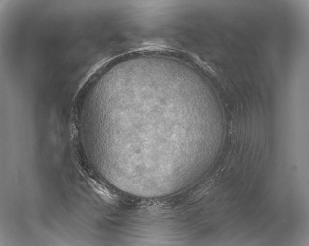 X0000058821400200510171525