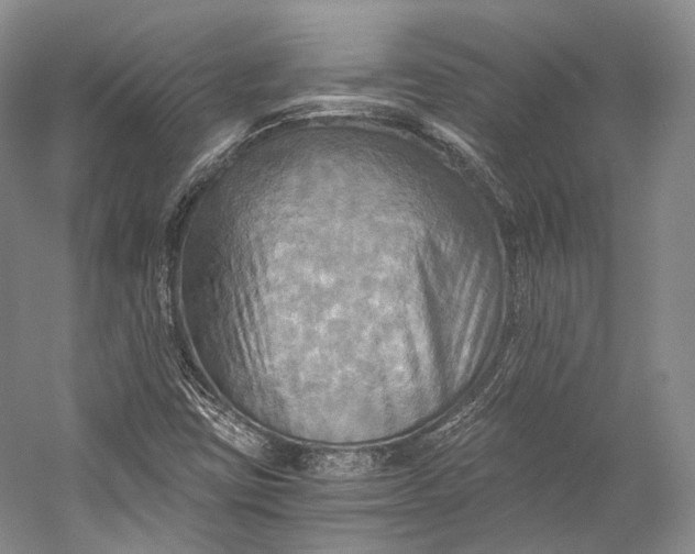 X0000058821403200510171525