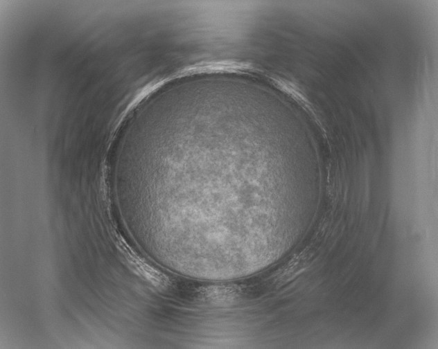 X0000058821404200510171525