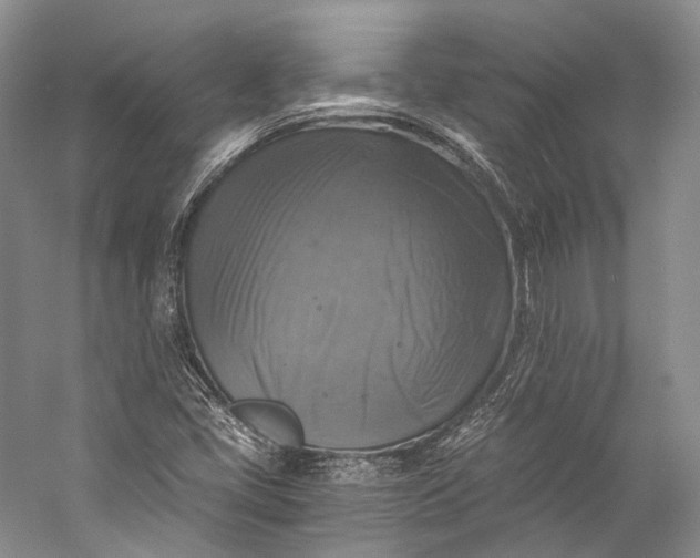 X0000058821405200510171525