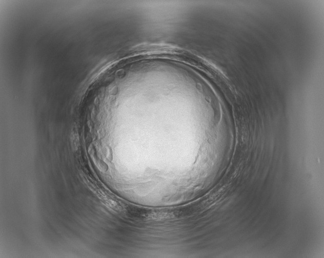 X0000058821407200510171525