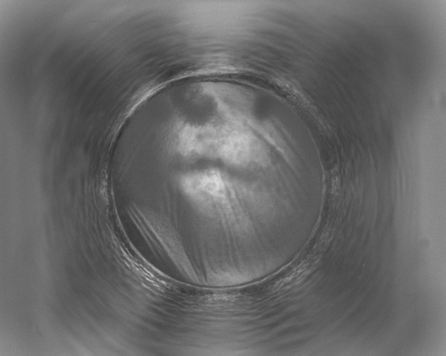 X0000058821409200510171525