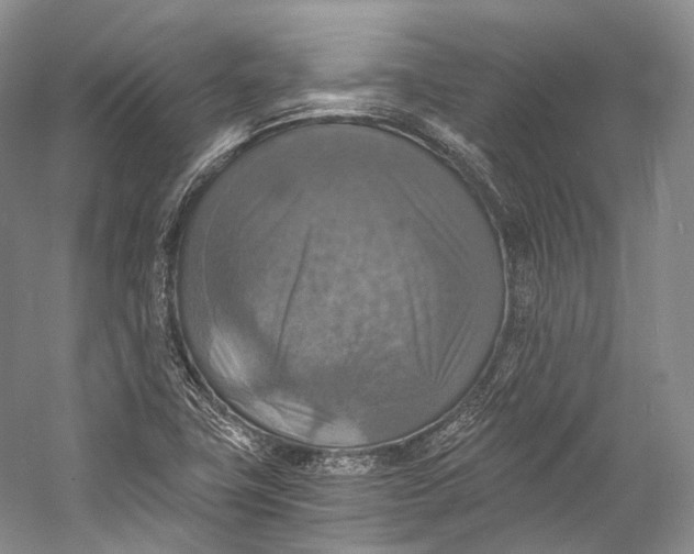 X0000058821411200510171525