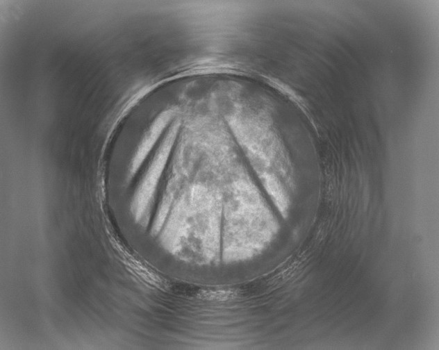 X0000058821415200510171525