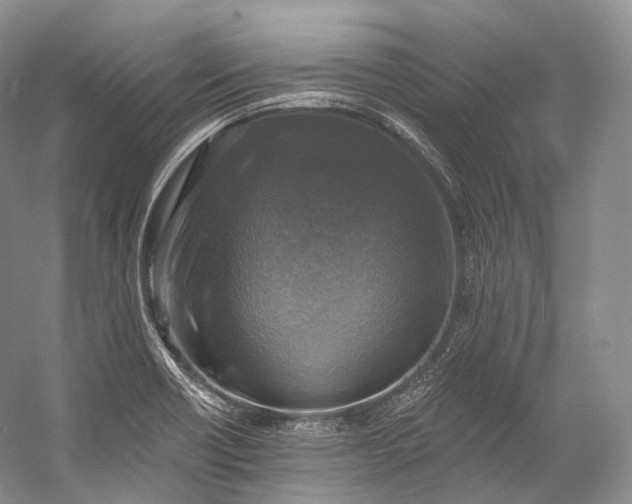X0000058821418200510171525
