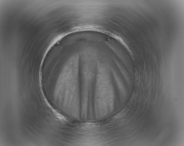 X0000058821424200510171525