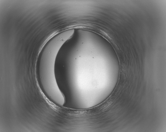 X0000058821426200510171525