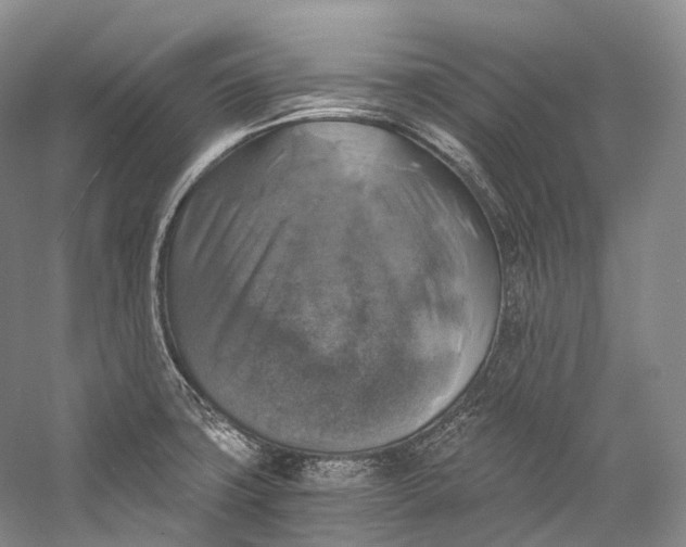X0000058821427200510171525