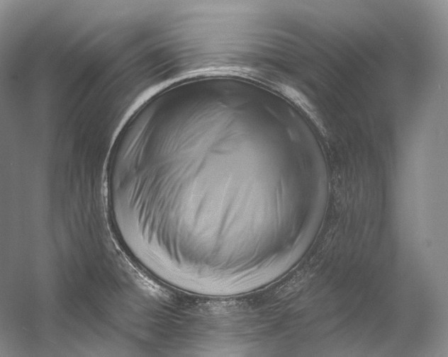 X0000058821428200510171525