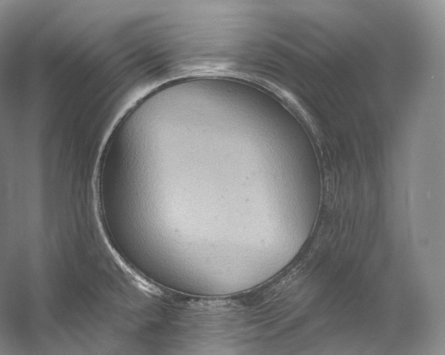 X0000058821432200510171525