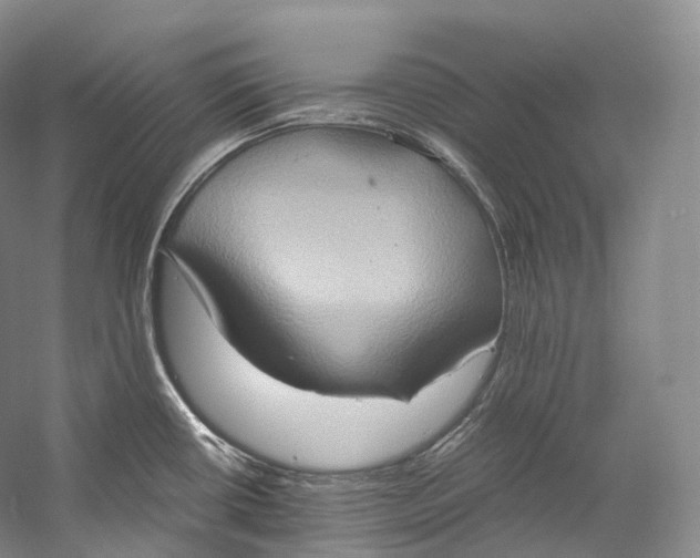 X0000058821434200510171525