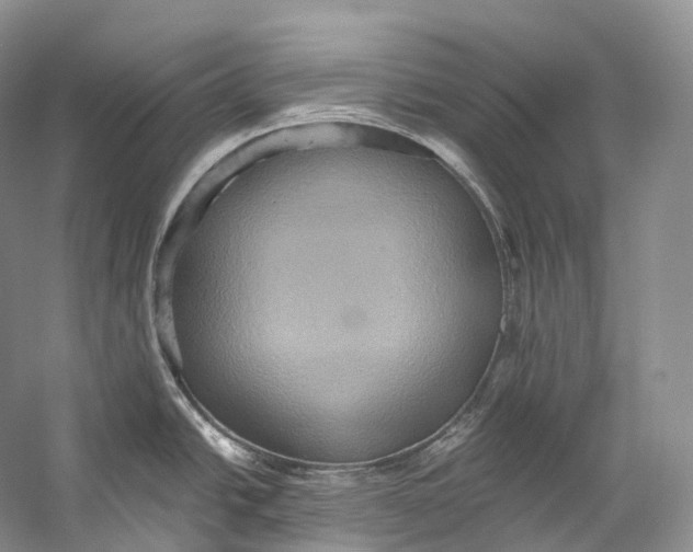 X0000058821438200510171525