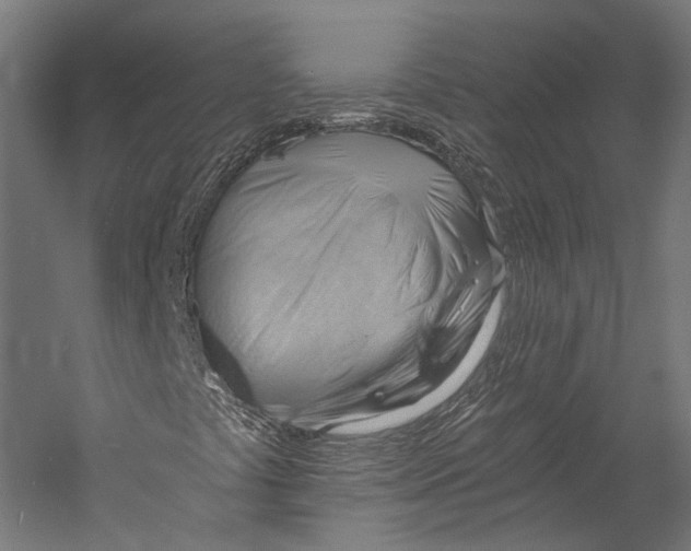 X0000058821441200510171525
