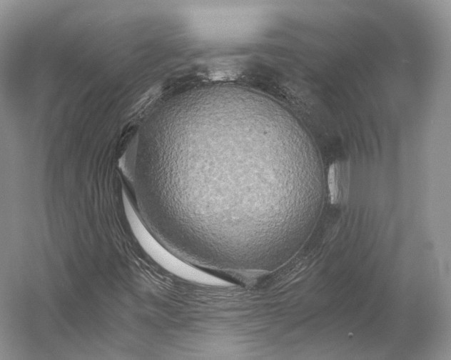 X0000058821443200510171525