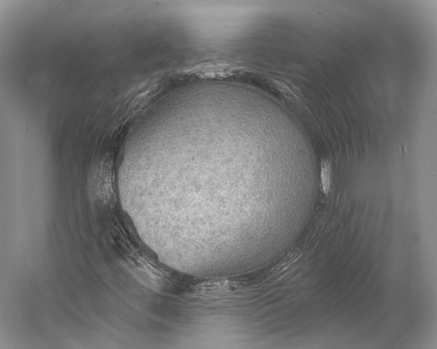 X0000058821444200510171525