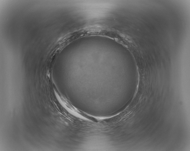 X0000058821445200510171525
