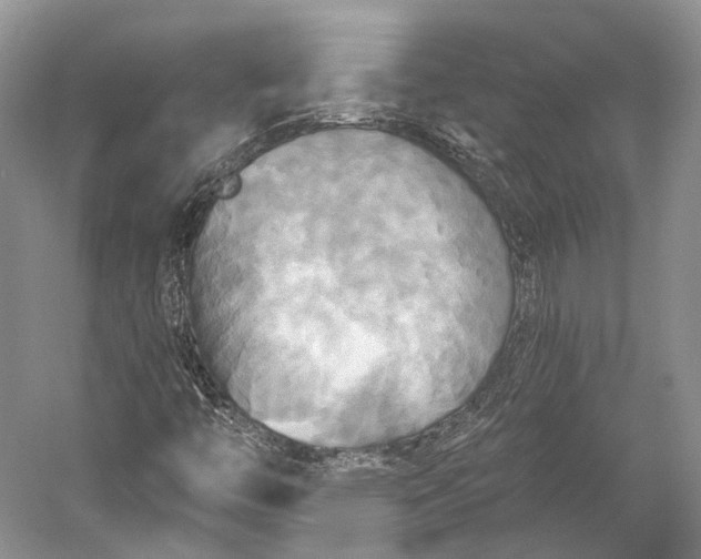 X0000058821446200510171525