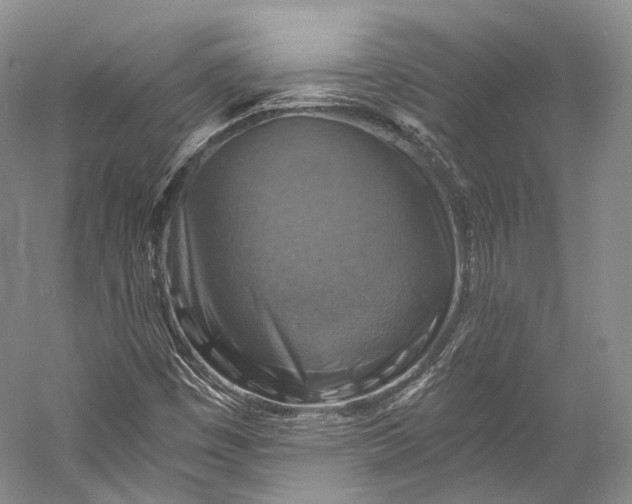 X0000058821449200510171524