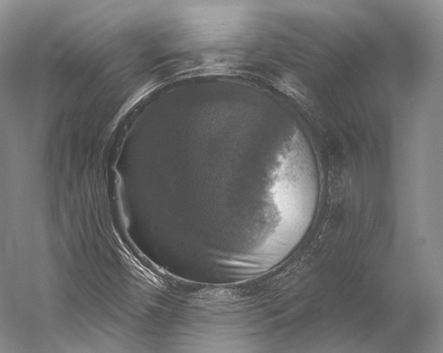 X0000058821450200510171524